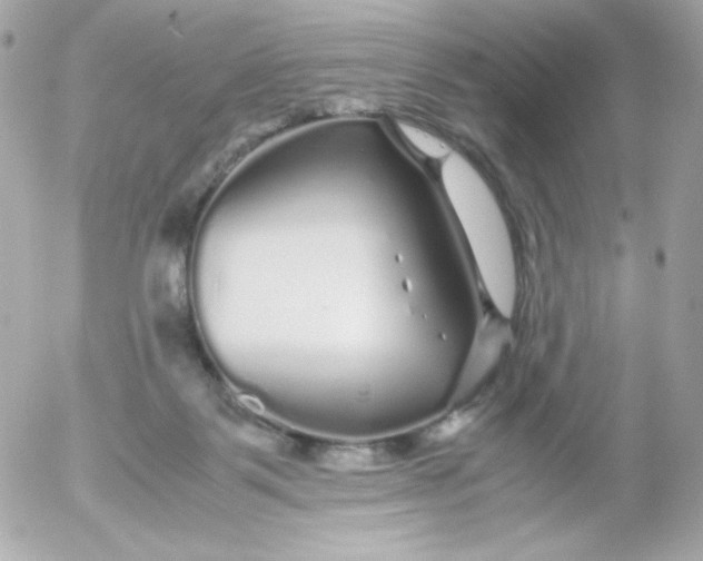 X0000052650123200507221851