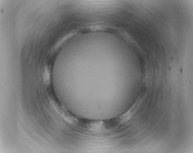 X0000052650124200507221851