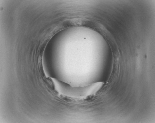 X0000052650125200507221851