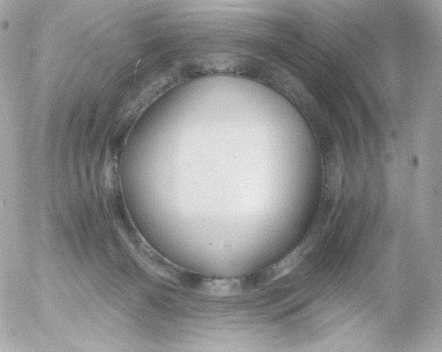 X0000052650126200507221851