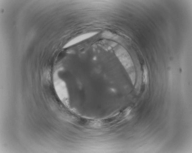 X0000052650127200507221851