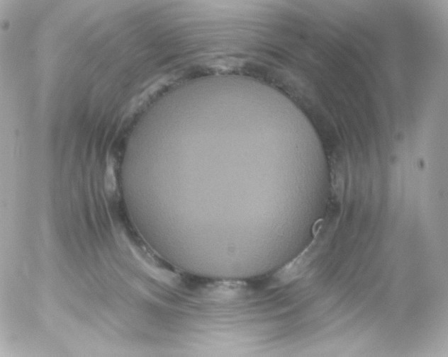 X0000052650128200507221851