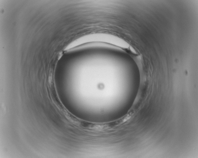 X0000052650129200507221851