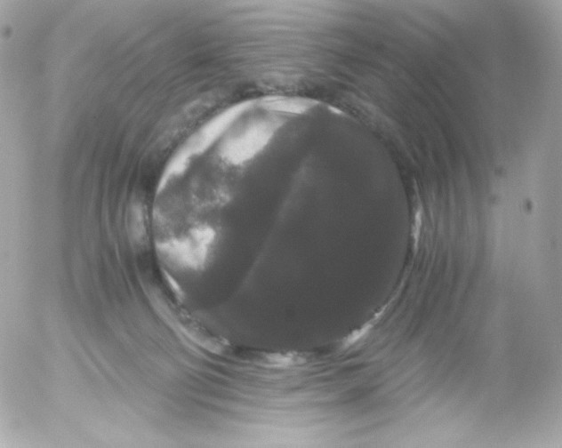 X0000052650130200507221851