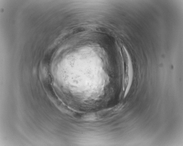 X0000052650131200507221851