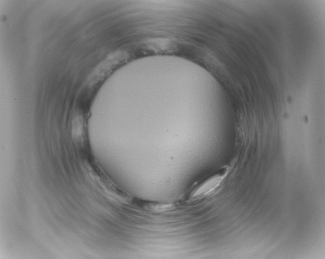 X0000052650132200507221851