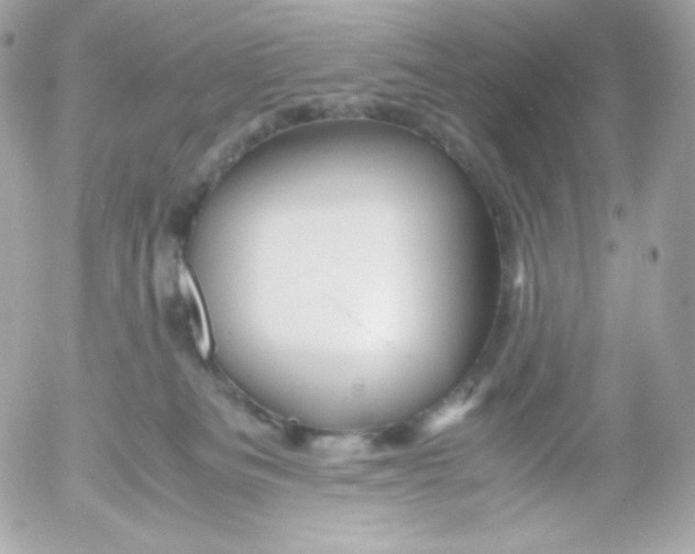 X0000052650133200507221851