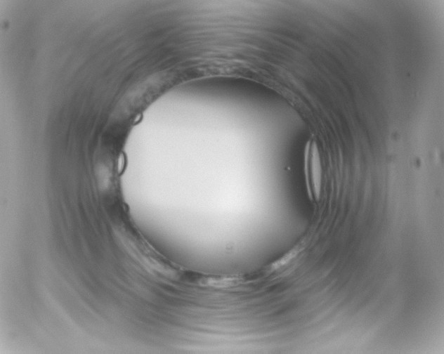 X0000052650134200507221851