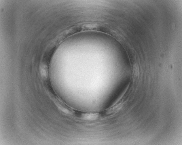 X0000052650135200507221851