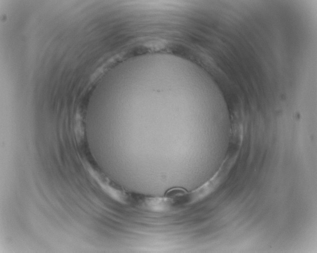 X0000052650136200507221851