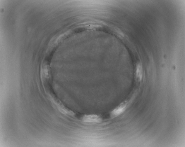 X0000052650137200507221851