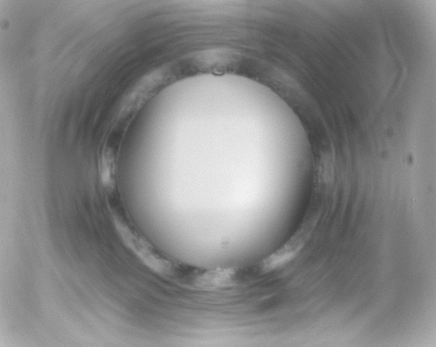 X0000052650138200507221851