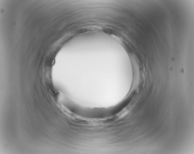 X0000052650141200507221851