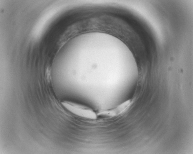 X0000052650142200507221851