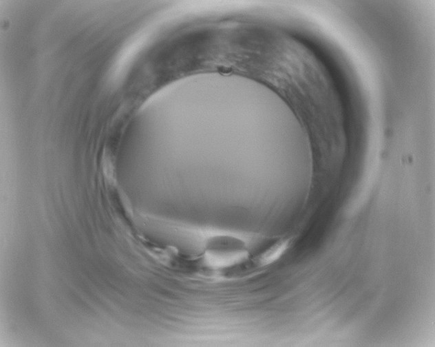 X0000052650143200507221851