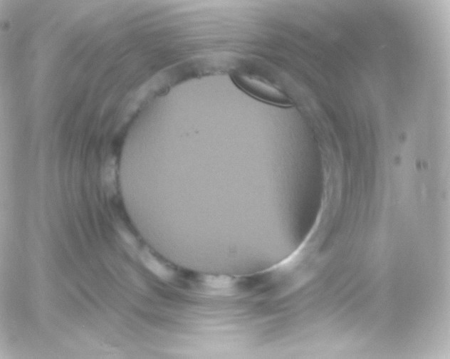 X0000052650144200507221851