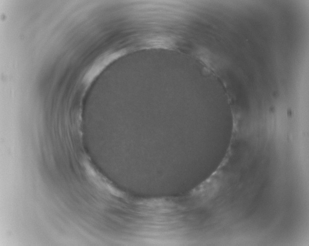 X0000052650146200507221850