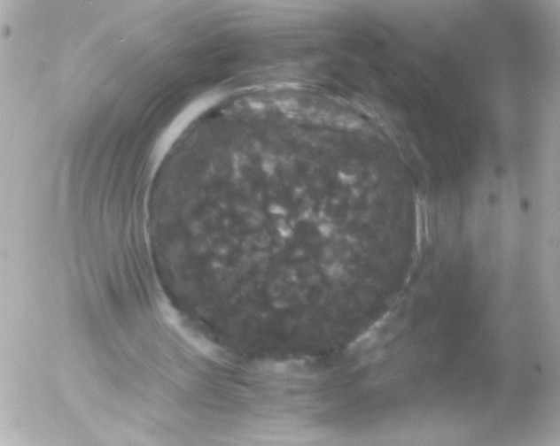 X0000052650147200507221850