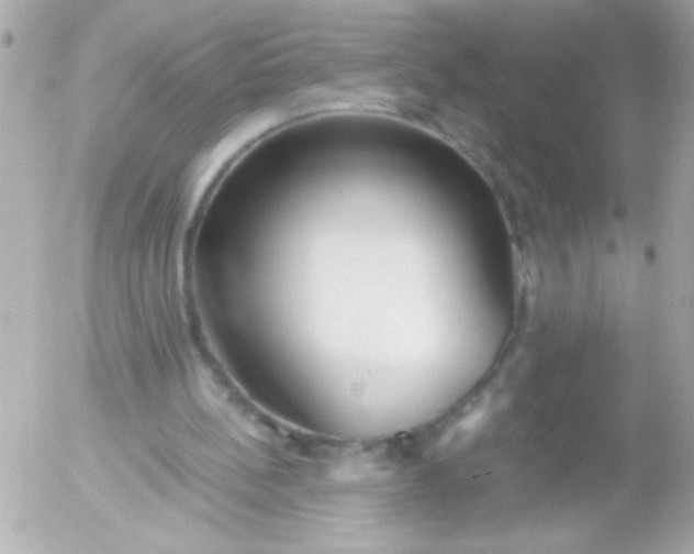 X0000052650148200507221850