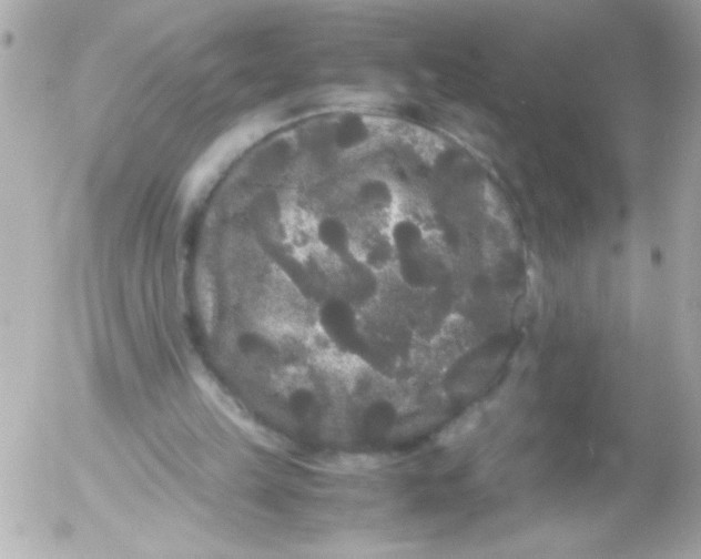 X0000052650149200507221850