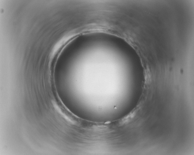 X0000052650150200507221850