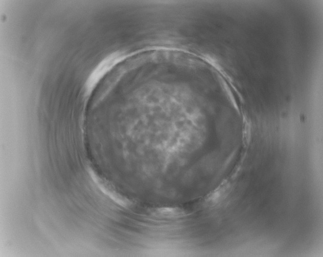 X0000052650151200507221850