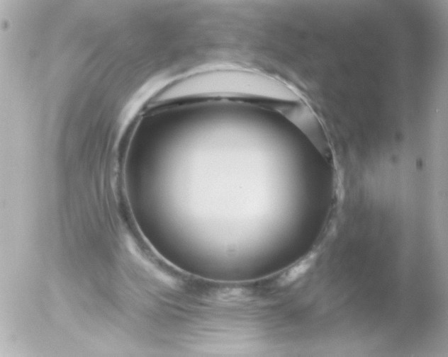 X0000052650152200507221850