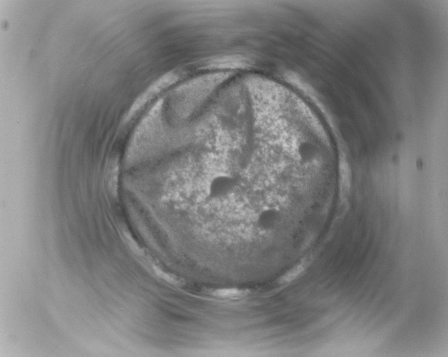 X0000052650153200507221850