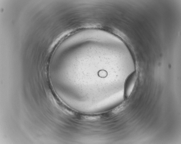 X0000052650155200507221850