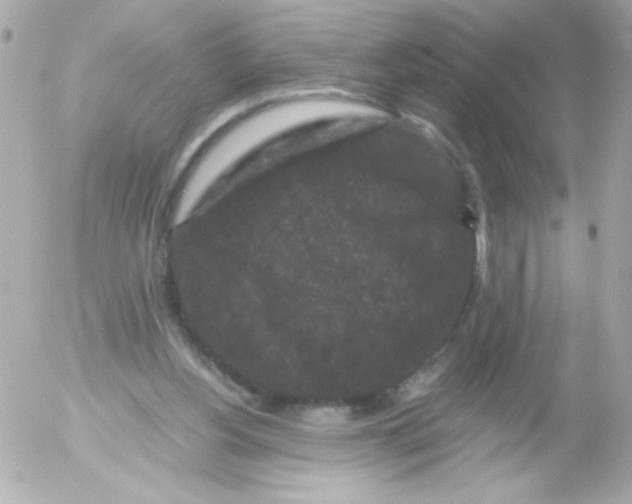 X0000052650156200507221850