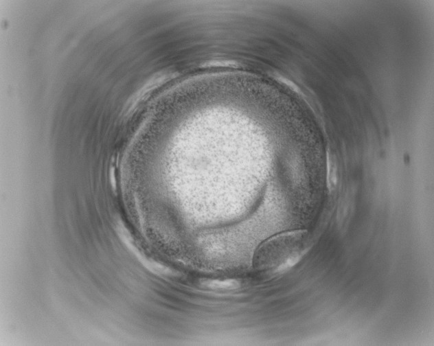 X0000052650157200507221850