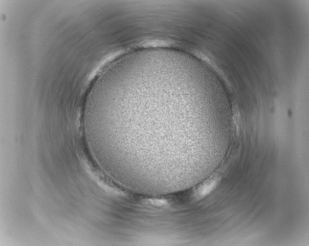 X0000052650159200507221850