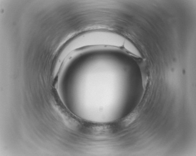 X0000052650160200507221850