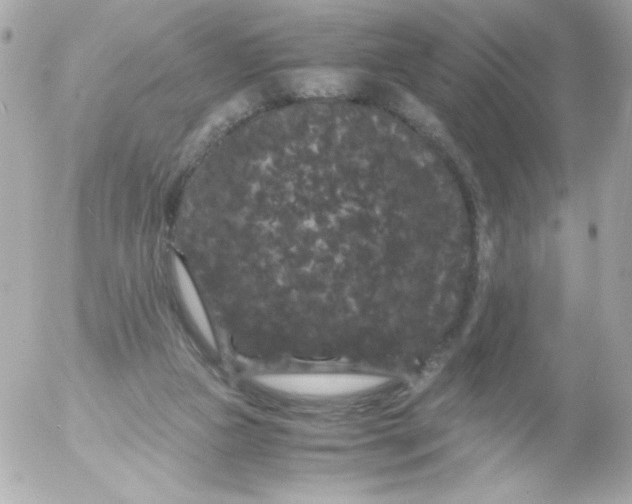 X0000052650161200507221850