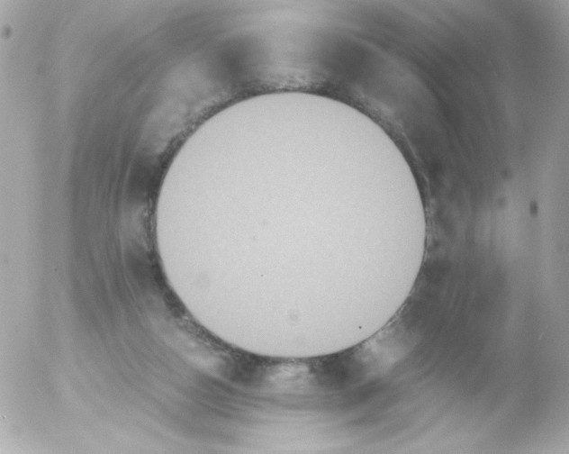 X0000052650162200507221850