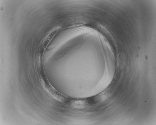 X0000052650163200507221850