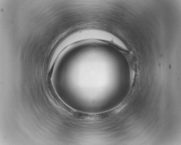 X0000052650164200507221850