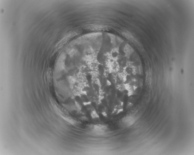 X0000052650165200507221850