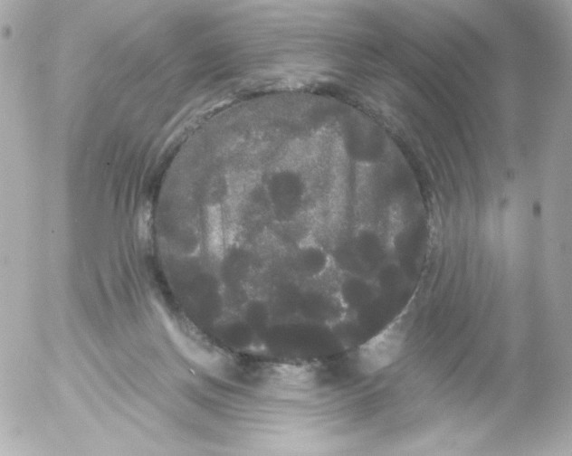 X0000052650166200507221850