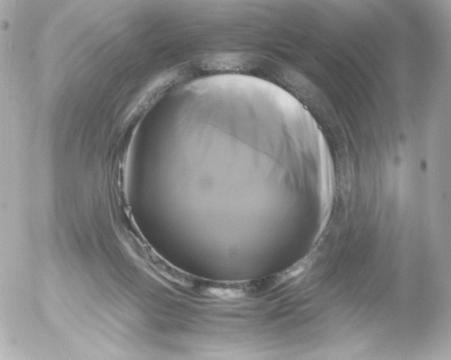 X0000052650167200507221850