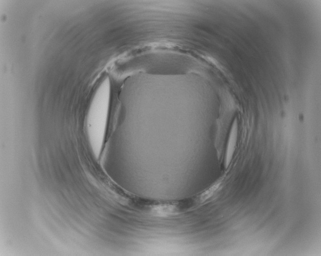 X0000052650168200507221850