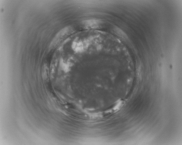 X0000052650169200507221850