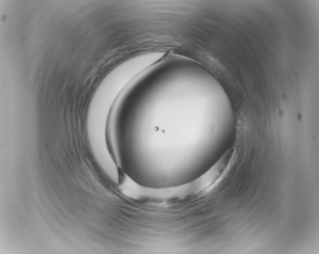 X0000052650170200507221850