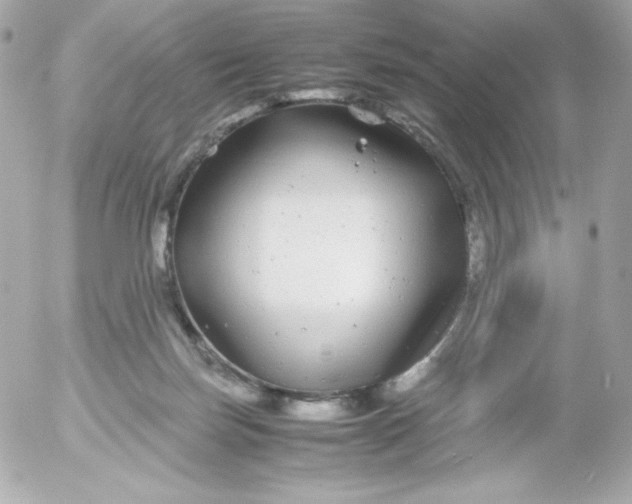 X0000052650171200507221850