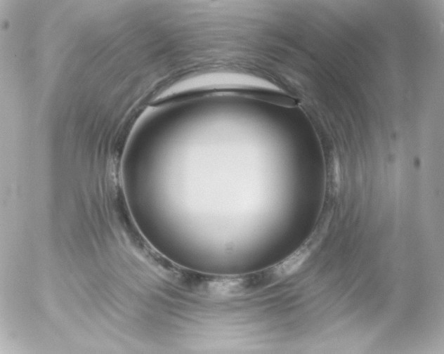 X0000052650172200507221850