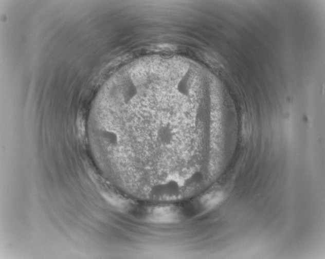 X0000052650173200507221850