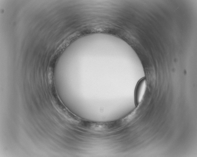 X0000052650174200507221850