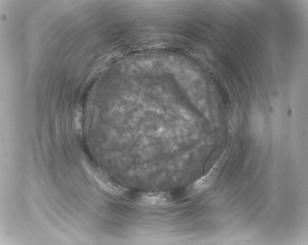 X0000052650175200507221850