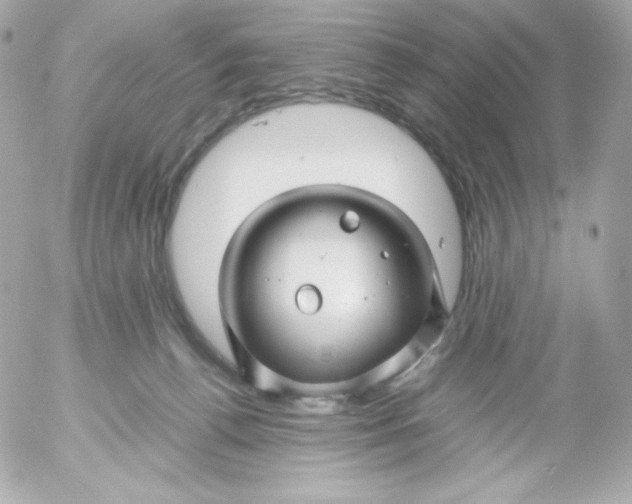 X0000052650176200507221851