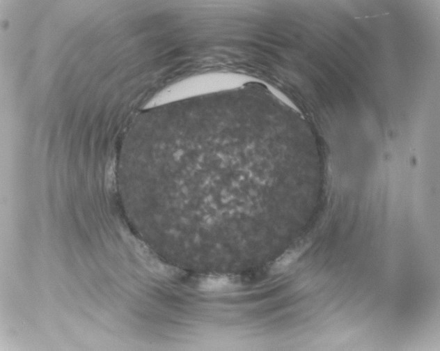 X0000052650177200507221851